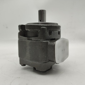 Pompe à engrenages hydraulique LXPG1H LXPG2H LXPG3H LXPG2G Pompe à engrenages haute pression LXPG1H-LX1/008RF1A0033 - Product Image 5