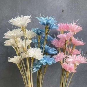 Fiori Secchi Naturali di Cereus a Fioritura Notturna, Bouquet Artigianale Multicolore, Decorazione Floreale per Matrimoni e Regali - Product Image 2