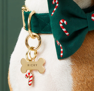 Jietao liontin hewan kupu-kupu bentuk tulang, Stainless Steel kosong logam Premium Logo kustom mewah tahan lama - Product Image 1