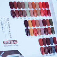 Ensemble de vernis gel 24 couleurs tons terre automne UV LED Soak-Off, gel à ongles marron, étiquette privée personnalisée OEM pour salon de manucure