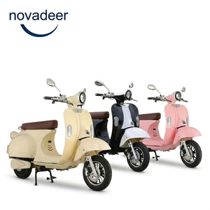 Novader Vélos Électriques à Moteur Arrière Sans Balais 1000W, Modèles Rétro de Luxe <span class=keywords><strong>Audrey</strong></span> Hepburn Personnalisables pour le Trajet Quotidien, Fabriqués en Chine - Vente Chaude - Product Image 6
