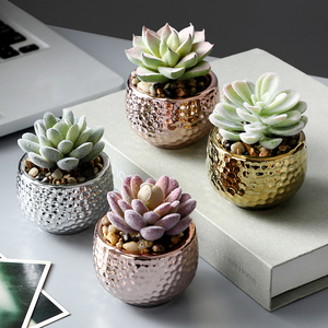 Mini <span class=keywords><strong>Piante</strong></span> <span class=keywords><strong>Grasse</strong></span> Artificiali <span class=keywords><strong>in</strong></span> <span class=keywords><strong>Vaso</strong></span> per Decorazione Ufficio Casa <span class=keywords><strong>Giardino</strong></span> Bonsai - Product Image 2