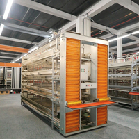 Nouvelle cage en acier de type H avec conception multicouche pour ferme avicole