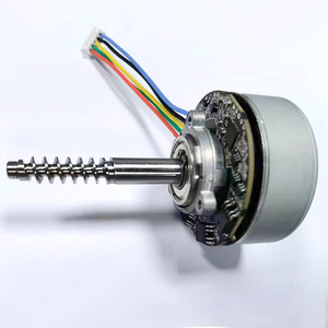 มอเตอร์ไร้แปรงถ่าน Chuanghuada BL4825 12V มอเตอร์ไฟฟ้าขนาดเล็กสำหรับเครื่องนวด เครื่องสลายไขมันหน้าท้อง - Product Image 2