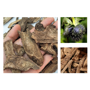 Cotus bubuk akar grosir rempah-rempah 100% alami murni Cina herbal Saussurea cotus Lappa bubuk akar - Product Image 6