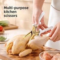Ciseaux de cuisine magnétiques en acier inoxydable multi-usages pour réfrigérateur, coupe-os pour poulet, barbecue, poisson et légumes