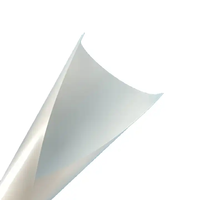 Film Diffuseur en Polycarbonate Rina-Tech 0,1 mm, Feuille de Laminage Holographique, Plaque de Coulée en Plastique Transparent A4 pour Écran LED