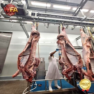 Usine d'abattage complète, équipement d'abattage de bétail, machine d'abattage de vaches, <span class=keywords><strong>boucherie</strong></span> <span class=keywords><strong>halal</strong></span> - Product Image 1