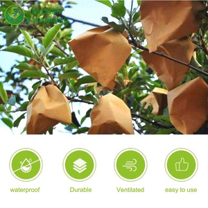 Bolsa <span class=keywords><strong>de</strong></span> Protección para Frutas y Funda <span class=keywords><strong>de</strong></span> Papel para Granadas - Product Image 5