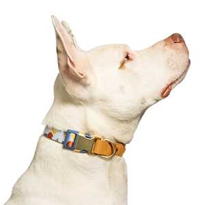 Vibrant Life Abstract Shapes Collar de perro de moda, hebilla de metal, multicolor, grande - Product Image 6