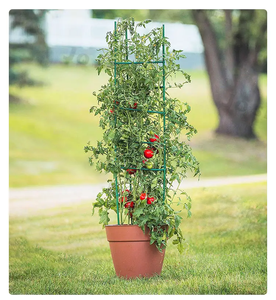 Torre de tomate, paquete de 3 jaulas para plantas de tomate para jardín al aire libre, estacas de soporte para plantas, jaulas de enrejado para vegetales trepadores - Product Image 5