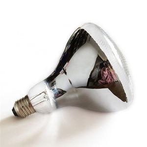 R125 240 V 250 w E27 animale speciale riscaldamento Ad Incandescenza lampadina della lampada per la decorazione - Product Image 1