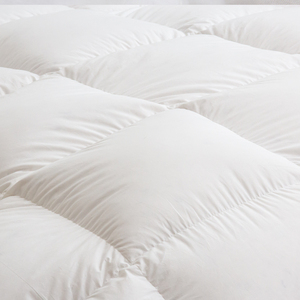 <span class=keywords><strong>Couette</strong></span> en Duvet d'oie de luxe, vente directe d'usine, pour dormir, confortable, vente en gros, pour toutes les saisons - Product Image 3