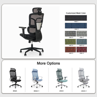 Chaise de bureau ergonomique moderne en maille PP avec accoudoir articulé 6D et soutien lombaire 3D adaptatif, chaise de bureau à domicile OEM