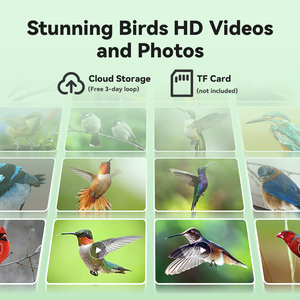 Chim trung chuyển với máy ảnh ai nhận dạng chim năng lượng mặt trời thông báo ngay lập tức ghi âm tự động của chim HD đầy đủ - Product Image 3