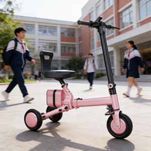 <span class=keywords><strong>Scooter</strong></span> électrique à mobilité électrique à un siège, 3 roues, <span class=keywords><strong>scooter</strong></span> électrique pour passagers, spacieux pour les voyages, fourni par l'usine - Product Image 2