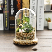 Cloche en verre, terrarium avec base en verre, vase de table pour l'exposition, 15*20cm