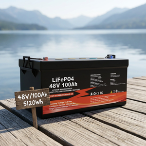 Baterai LiFePO4 48V 100Ah untuk Sistem Penyimpanan Energi Surya Rumah dengan BMS Terintegrasi - Product Image 1