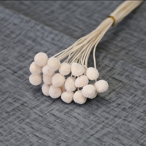All'ingrosso all'ingrosso decorativo naturale essiccato Craspedia Globosa Billy palla piante conserve fiori - Product Image 6