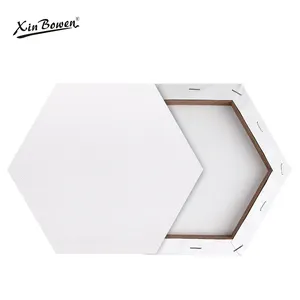 24 Pieces Hexagon Stretched Canvas for Painting Bulk Blank Canvas Panel  White