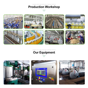 มะเขือเทศปอกเปลือกพรีเมียม ผักกระป๋องสด มะเขือเทศกระป๋องในน้ำเกลือ - Product Image 5