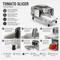 Sunmax Rvs Mandoline Snijder, Groentesnijder, Aardappelschiller, Fruit Dicer, Keuken Handig Hulpmiddel