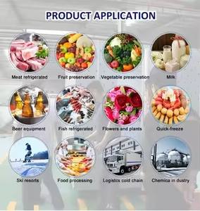 Chambre Froide Mobile de Haute Qualité avec Panneaux d'Isolation PIR/PUR pour Congélation Rapide - Product Image 4