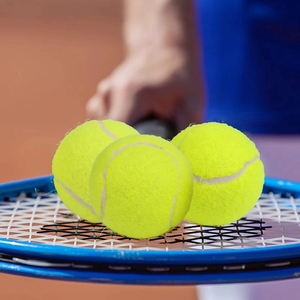 Pelotas de Pádel Personalizadas al por Mayor de Fábrica OEM, Aprobadas por la ITF, Pelotas de Tenis Suaves para Entrenamiento de Perros con Logotipo - Product Image 5