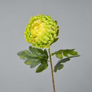 Rama de flor de crisantemo de piña redonda de imitación con hojas verdes Artificial <span class=keywords><strong>Big</strong></span> Callistephus Chinensis para arreglo floral - Product Image 4