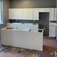 Gabinetes de Cocina al por Mayor para Remodelación de Cocinas en EE. UU., Gabinetes Americanos RTA Listos para Armar, Proyecto de Construcción de Gabinetes de Madera para Cocina