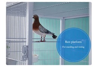 Grande cage à pigeons en acier galvanisé pour la course et l'élevage, design pliable durable, respirante et facile à assembler, utilisation intérieure/extérieure