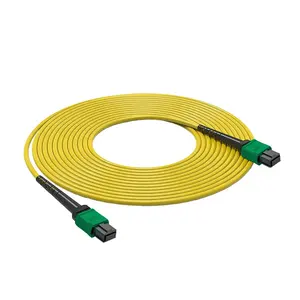 工厂价格MPO至MTP 12f LSZH 3.0米低损耗光纤跳线Mpo干线电缆
