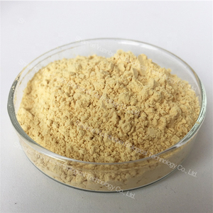 10% - 80% Ginsenoside 최고의 가격 대량 유기 인삼 뿌리 추출물 분말 - Product Image 2
