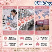 Bonbons en Cire Comestibles en Forme d'Insecte Coccinelle Rose Pastel, Sirop de Cire en Forme d'Animal, Étiquette Privée Disponible pour les Distributeurs