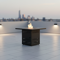 Table de foyer au gaz propane en métal durable pour foyer intérieur/extérieur pour patio et fêtes de jardin