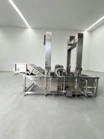 Geavanceerde industriële volautomatische luchtbel-pomp wasmachine motor, food grade, hoge reinigingsgraad, stabiele transportband voor