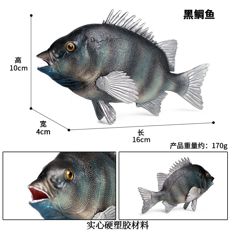 M-1281 Poisson-bec rayé