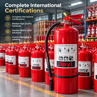 Extincteur à poudre sèche de type mexicain de haute qualité, 6 kg, construction en acier, équipement de sécurité incendie, vente en gros
