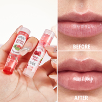 Coffret Baume à Lèvres Hydratant 24H 4g, Baume Labial Hydratant à la Phyto-extraction, Gloss Teinté pour le Soin des Lèvres