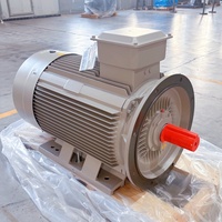Moteur électrique 90 kW/440 kW à bobine, 3000 tr/min, sans balais, 2 pôles, avec chauffage par induction, pour machine à grignoter les graines et cage à ardillons