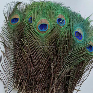 Chất Lượng Cao Tự Nhiên Con Công Lông 25-30Cm Đôi Mắt Lớn Con Công Lông Lông Cho Đảng Lễ Hội Trang Phục Trang Trí - Product Image 4