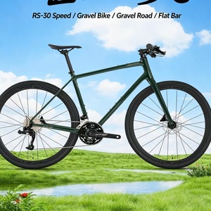 Vélo de gravier haute performance en aluminium léger 700c, frein à disque, axe traversant, câblage interne, patte de dérivation UDH, pneus 38c, 10,3 kg - Product Image 6