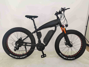 Venta al por mayor <span class=keywords><strong>de</strong></span> fábrica <span class=keywords><strong>bicicleta</strong></span> eléctrica asistida por pedal/suspensión <span class=keywords><strong>paseo</strong></span> en <span class=keywords><strong>bicicleta</strong></span> eléctrica/48V batería Ebike para hombres - Product Image 4