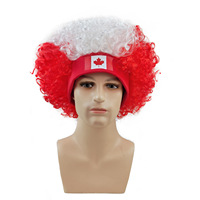 HLC Accessoires de Fan de Football Personnalisés avec Logo Argentine : Perruque, Bandeau, Chapeaux Fouls et Coiffes Drapeau Pologne pour Supporters