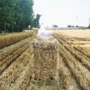 Gran oferta, empacadora de heno cuadrada pequeña, Mini máquina empacadora de heno cuadrada montada en Tractor a la venta - Product Image 5