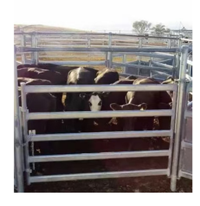 Paneles de Cerca Redondos para Caballos y <span class=keywords><strong>Corrales</strong></span> de Ganado de Acero al Carbono Galvanizado de 6 Pies, Estilo Europeo, para Uso en Granjas y Pastos, Venta al Por Mayor - Product Image 6