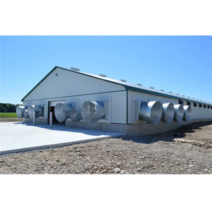 Pollaio in Stile Fattoria in Acciaio, Pratico ed Elegante - Product Image 6