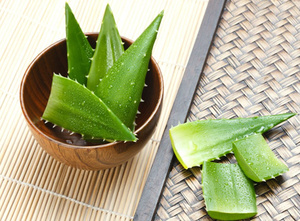 Toptan fiyat saf doğal <span class=keywords><strong>Aloe</strong></span> <span class=keywords><strong>Vera</strong></span> tozu yüksek kaliteli <span class=keywords><strong>Aloe</strong></span> <span class=keywords><strong>Vera</strong></span> özü - Product Image 4