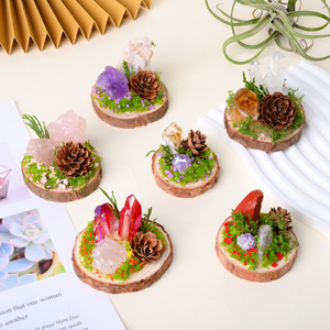 Vente en gros de pierres précieuses naturelles polies irrégulières en jaspe océanique de forme libre pour collection - Product Image 6