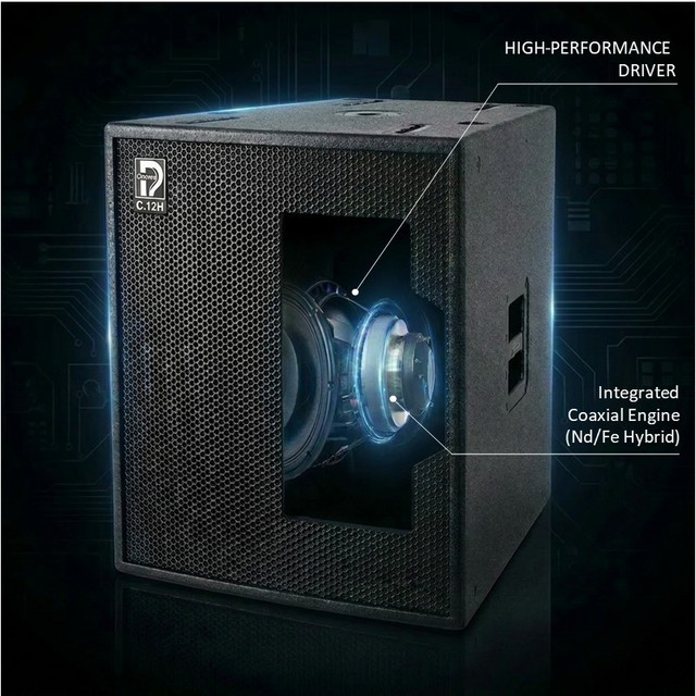 I.E.voice 12" Versatile High-Throw Coaxial Speaker Neodymium Stadium Sound System Theater Arena Concert OEM/ODM Pro Audio Hi-Res